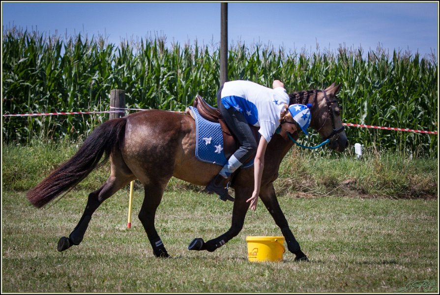 Mounted Games 205